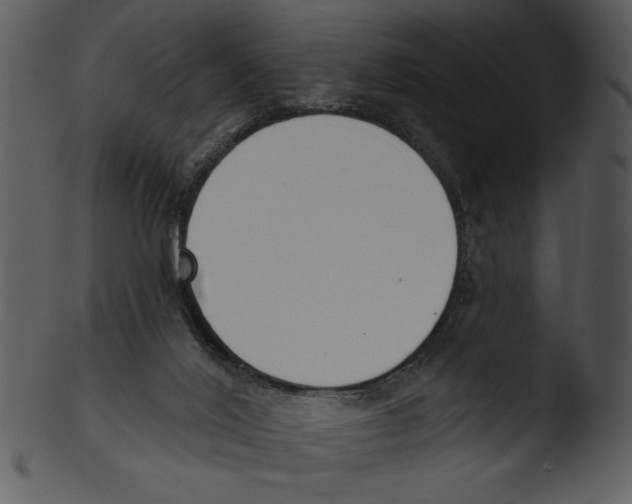 X0000103230020200809251315