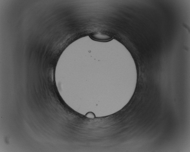 X0000103230021200809251315