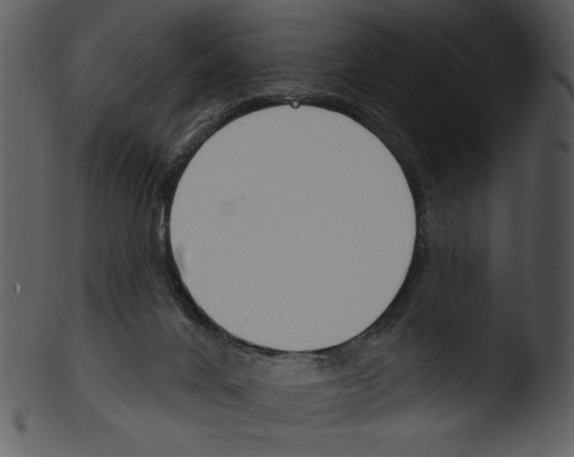 X0000103230024200809251314