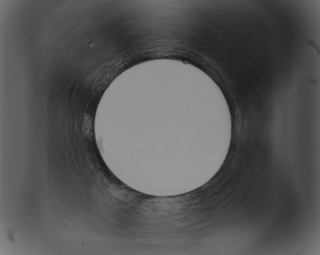 X0000103230025200809251314