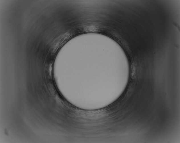 X0000103230026200809251314