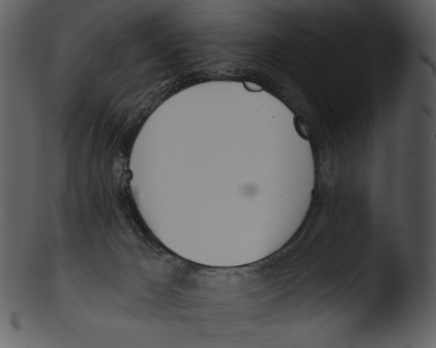 X0000103230029200809251314