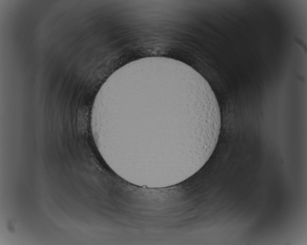 X0000103230030200809251314