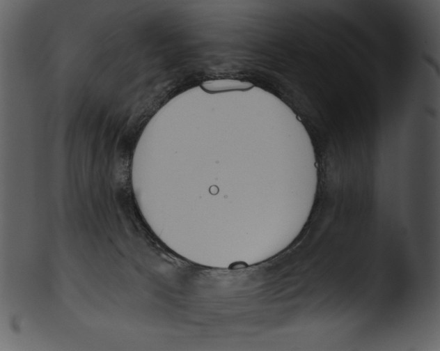 X0000103230033200809251314