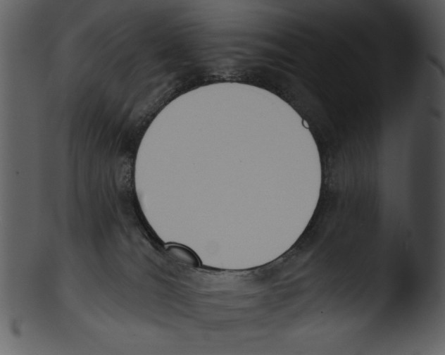 X0000103230036200809251314