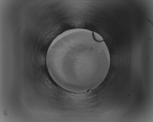 X0000103230039200809251314