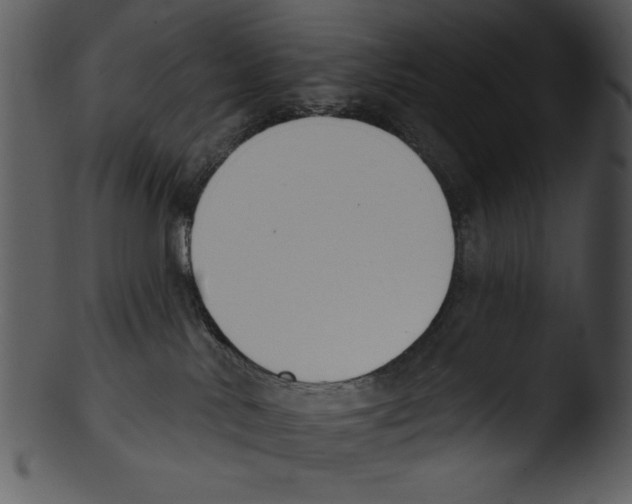 X0000103230042200809251314