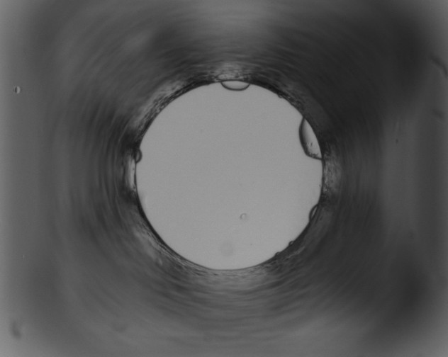 X0000103230046200809251314