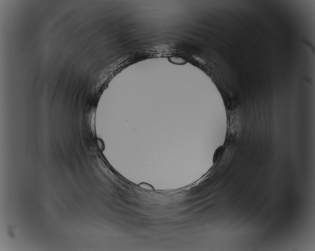 X0000103230047200809251314