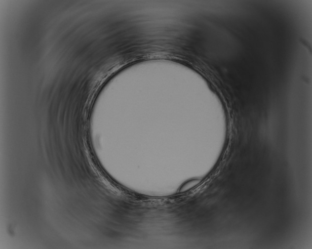 X0000103230049200809251313