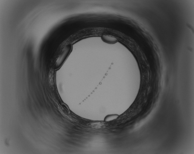 X0000103230050200809251313