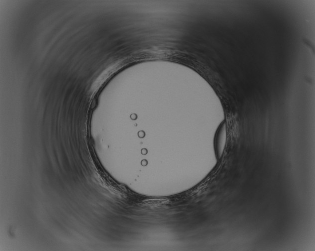 X0000103230051200809251314