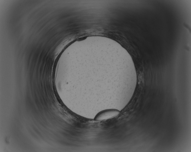 X0000103230052200809251314