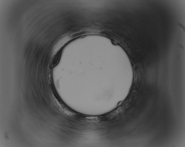 X0000103230053200809251314