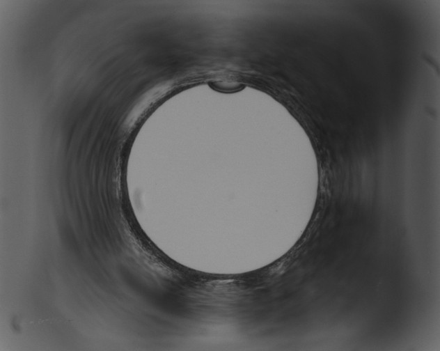 X0000103230054200809251314