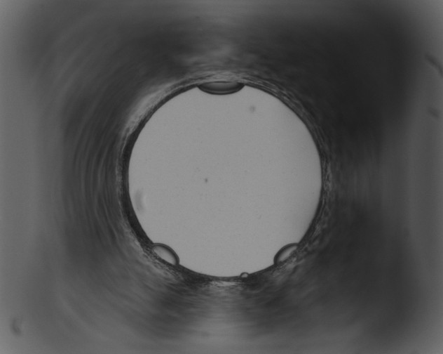 X0000103230055200809251314