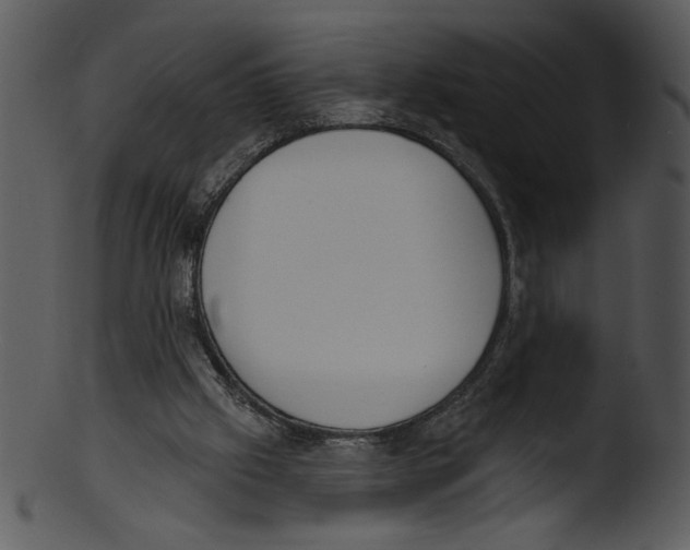 X0000103230057200809251314