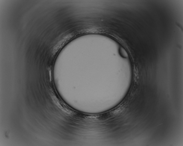 X0000103230061200809251314