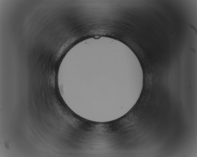 X0000103230064200809251314