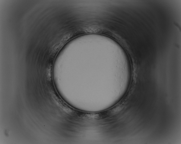 X0000103230065200809251314