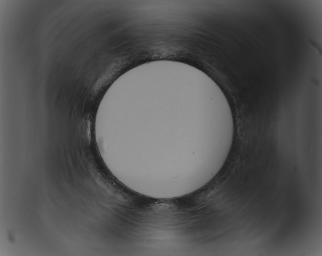 X0000103230067200809251314
