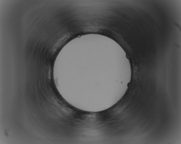 X0000103230068200809251314