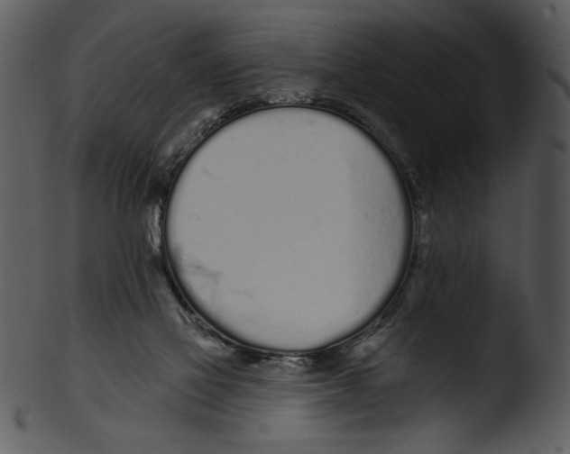 X0000103230069200809251314
