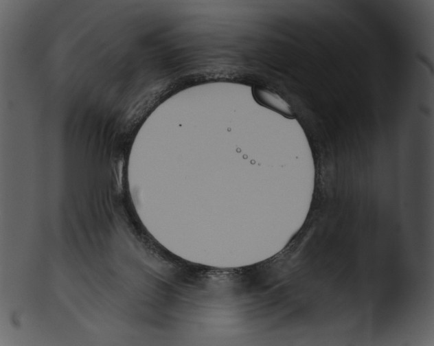 X0000103230070200809251314