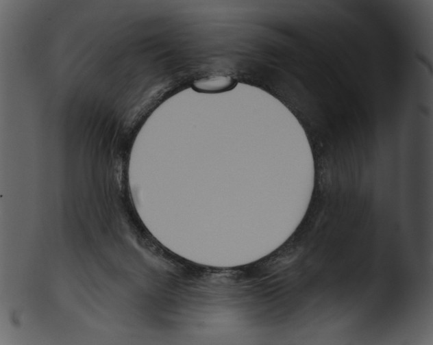 X0000103230072200809251314