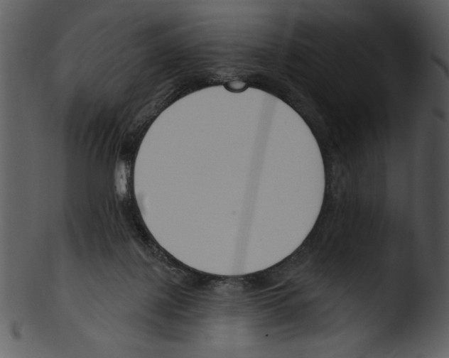 X0000103230075200809251314