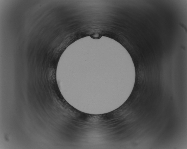 X0000103230079200809251314