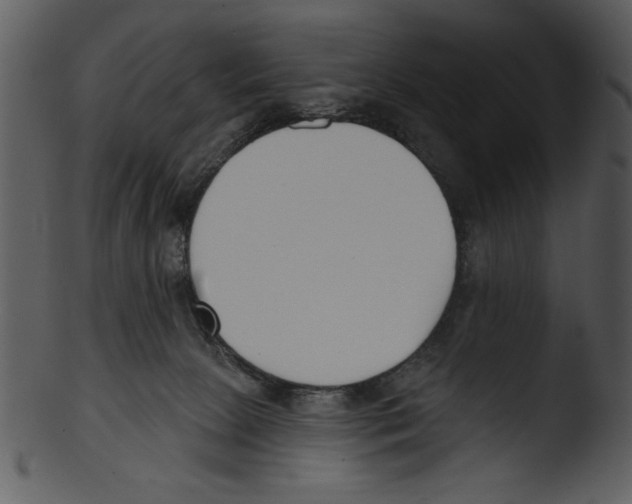 X0000103230081200809251314