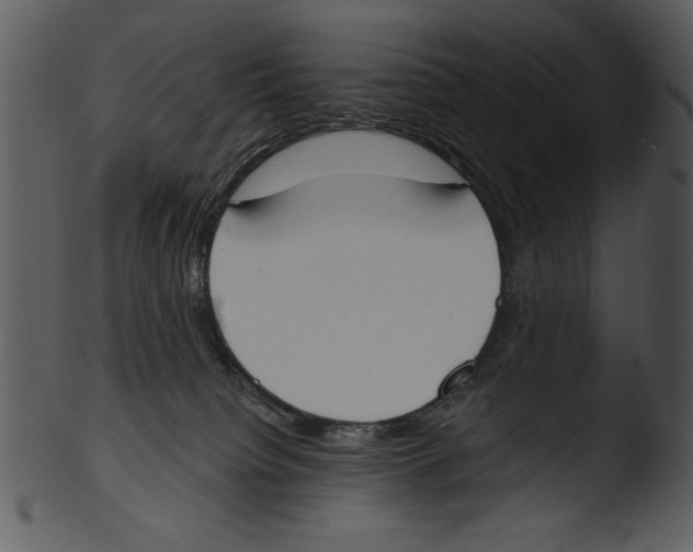 X0000103230084200809251314