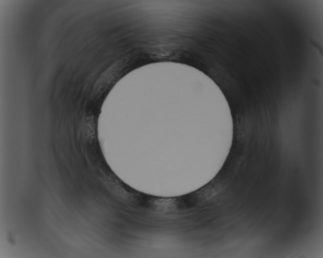 X0000103230085200809251314