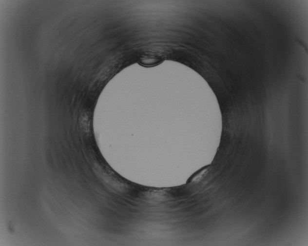 X0000103230086200809251314