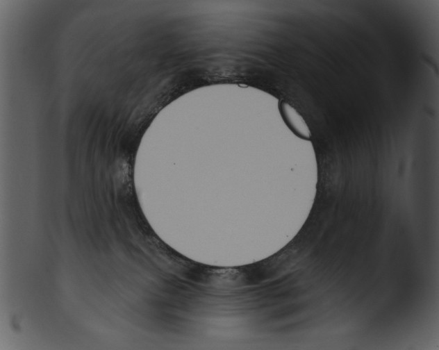 X0000103230087200809251314