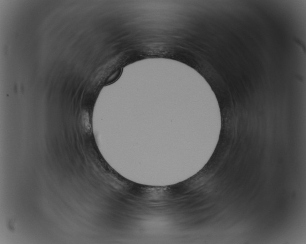X0000103230089200809251314