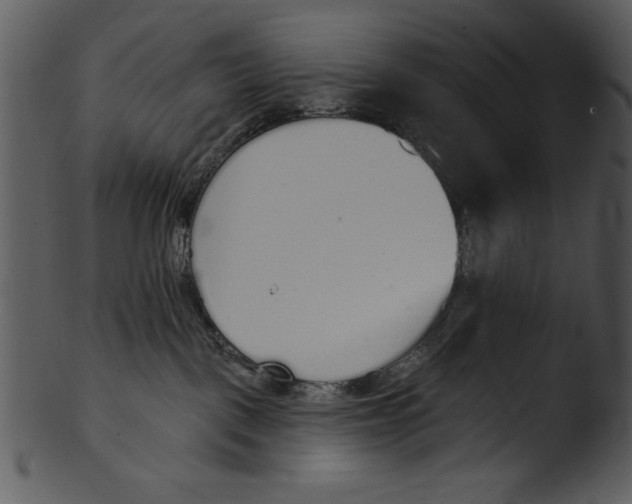 X0000103230093200809251314