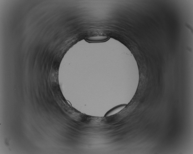 X0000103230096200809251314