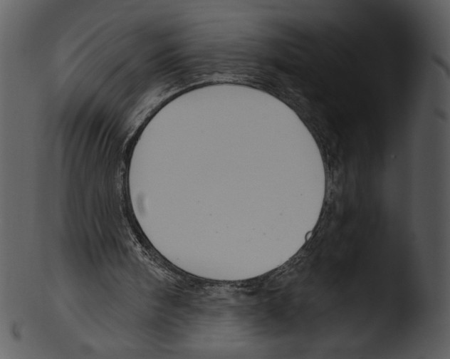 X0000103230098200809251313