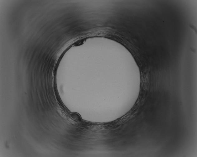 X0000103230100200809251313