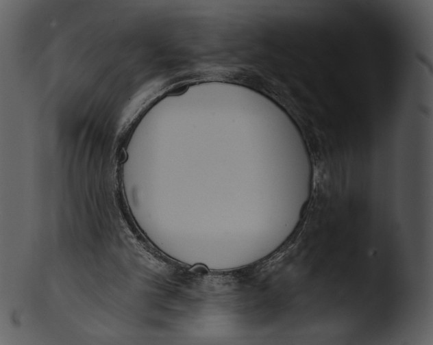 X0000103230101200809251313