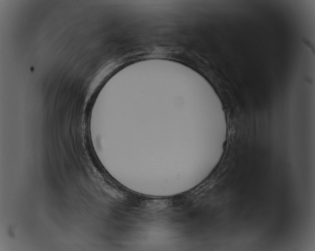X0000103230102200809251313