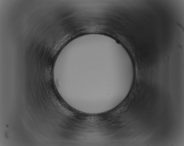 X0000103230105200809251313