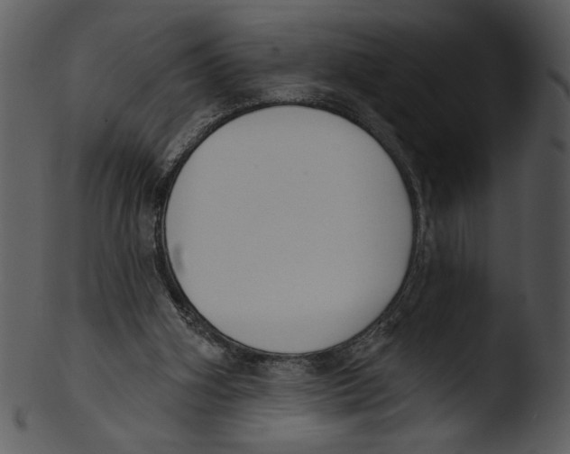 X0000103230106200809251313