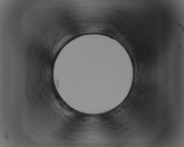 X0000103230107200809251313
