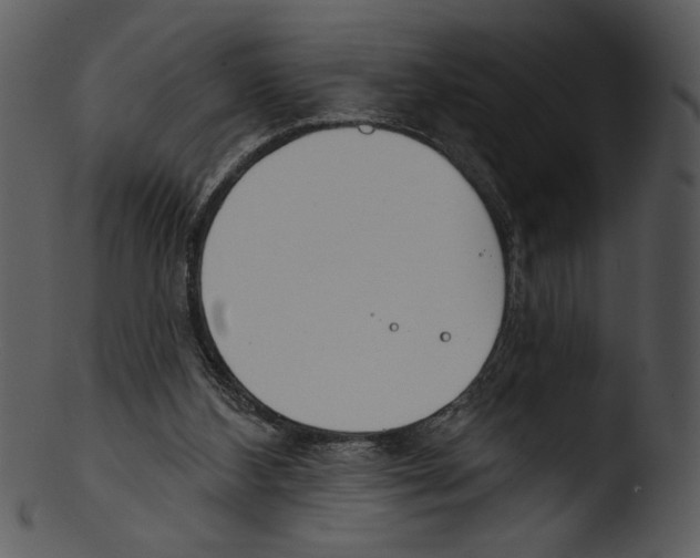 X0000103230108200809251313
