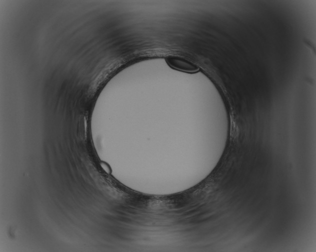 X0000103230109200809251313