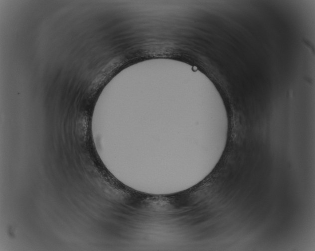 X0000103230113200809251313