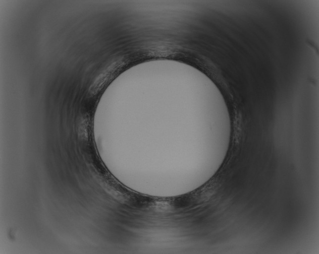 X0000103230114200809251313